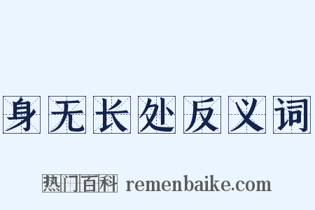 身无长处反义词是什么意思的图片